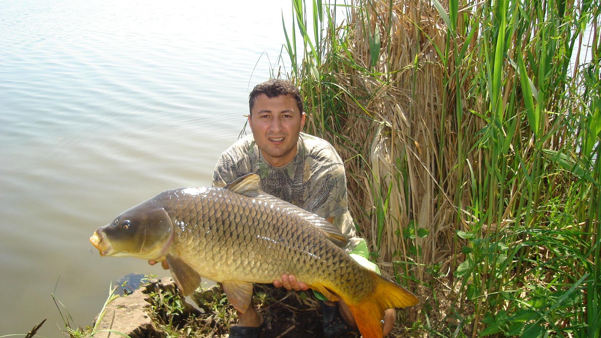 Tancabesti - dsc03284.JPG